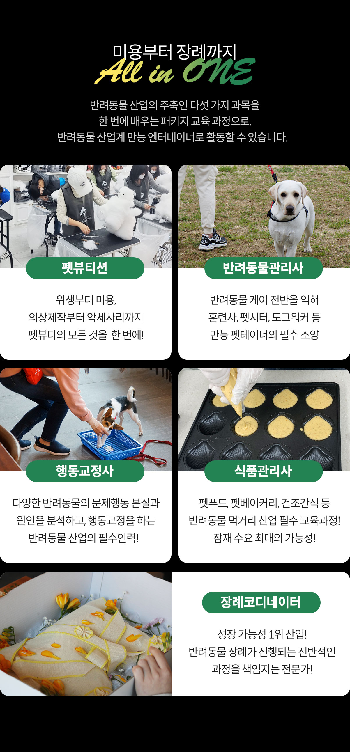 펫뷰티션,반려동물관리사, 행동교정사, 식품관리사, 장례코디네이터 5과목 1강의