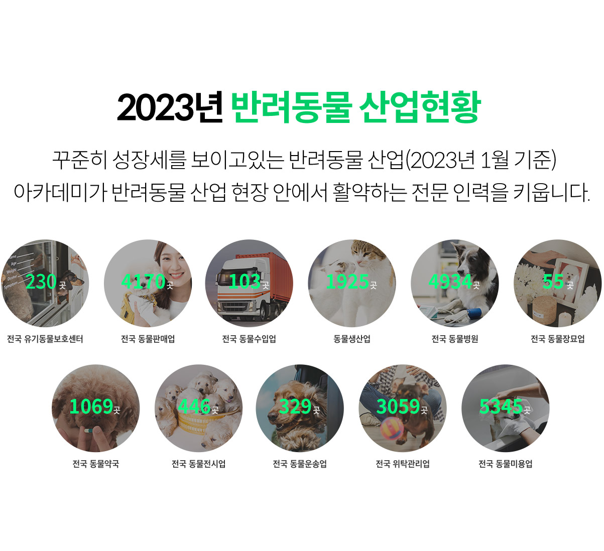 2023년 반려동물 산업현황