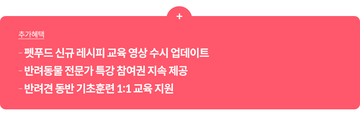 신규 레시피 수시 업데이트, 특강 참여권 지속 제공, 기초훈련 1:1 교육 지원