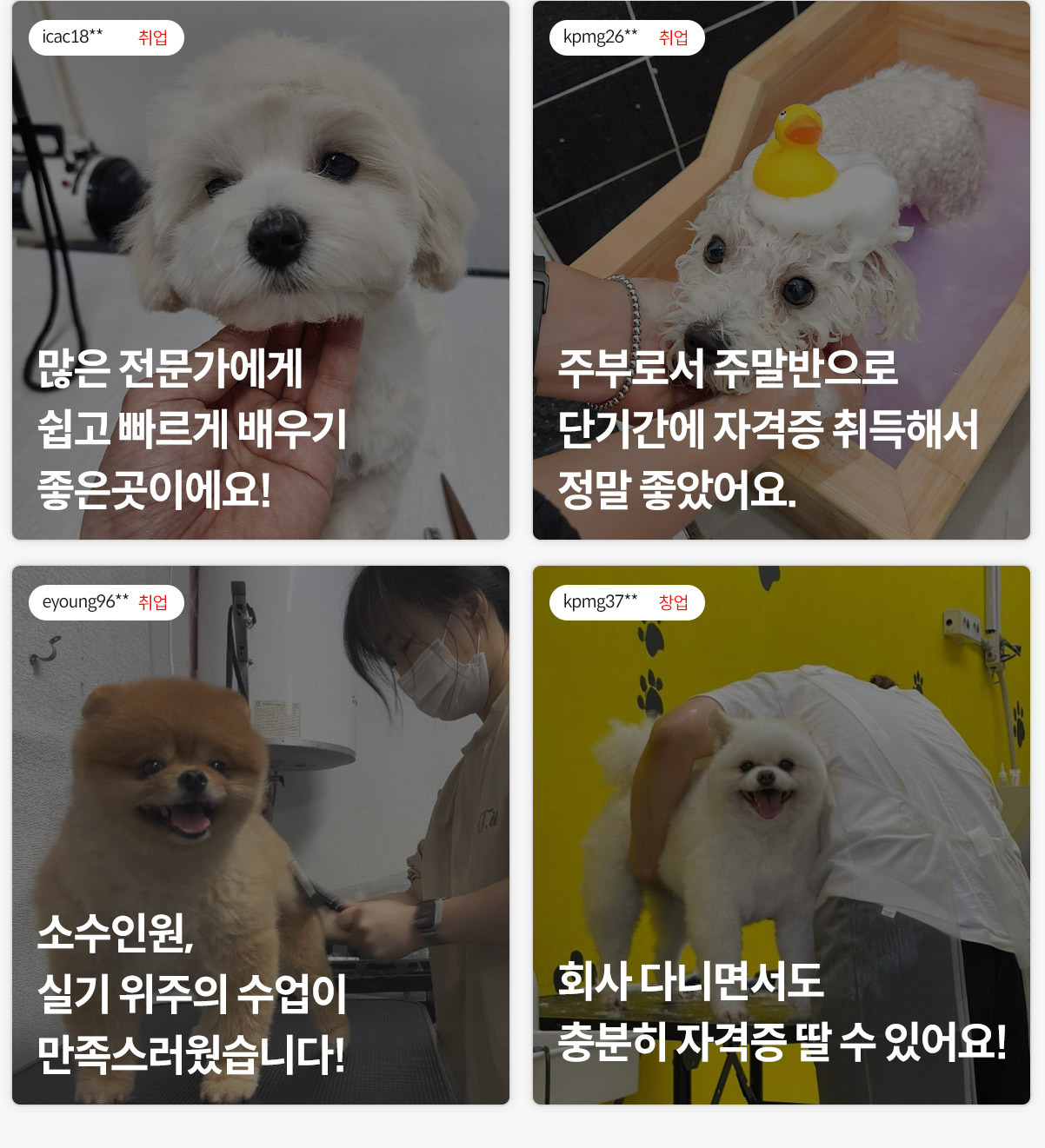 실제 수강생 동물 현황