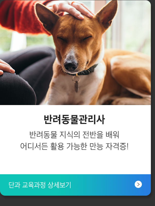 반려동물관리사