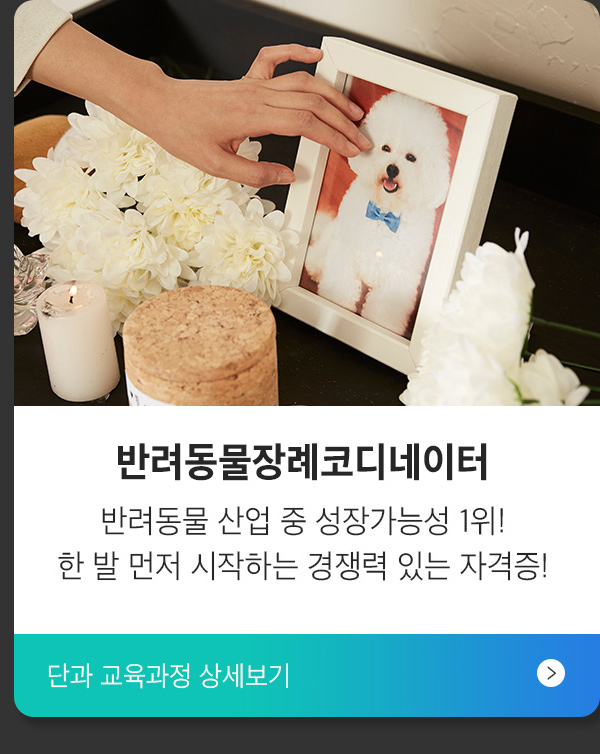 반려동물장례코디네이터